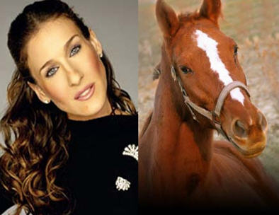 sarah-and-horse